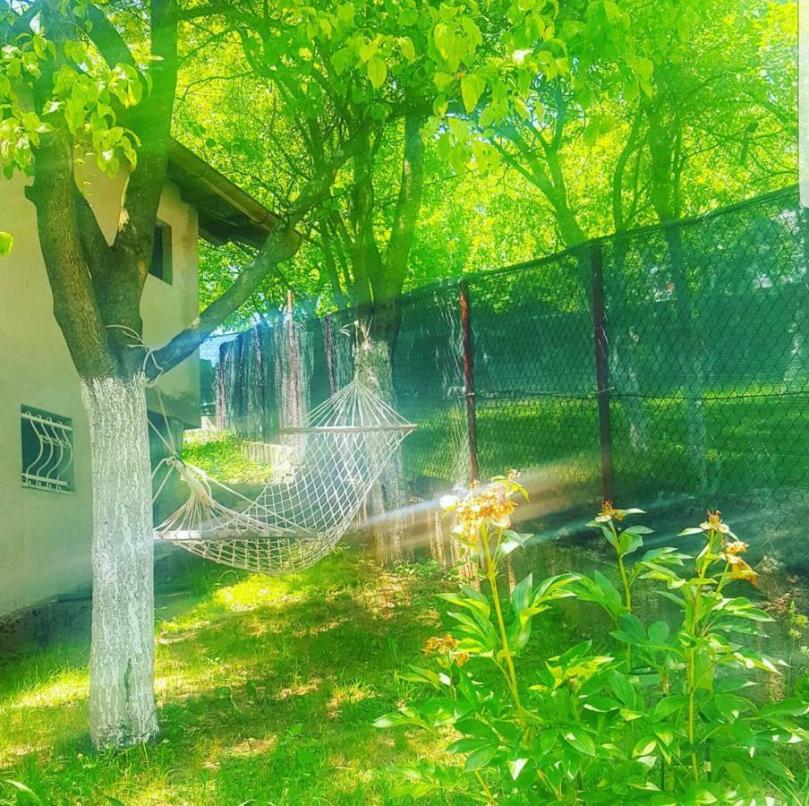 Keep Calm Garden Holiday home Sarajevo